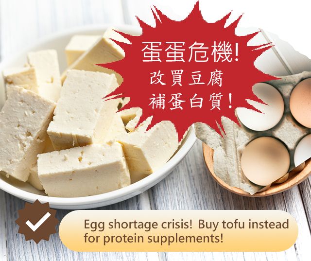 Tofu Protein